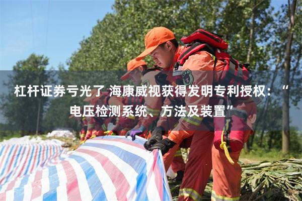 杠杆证券亏光了 海康威视获得发明专利授权：“电压检测系统、方法及装置”