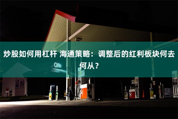 炒股如何用杠杆 海通策略：调整后的红利板块何去何从？