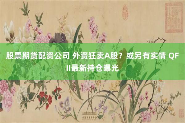 股票期货配资公司 外资狂卖A股？或另有实情 QFII最新持仓曝光