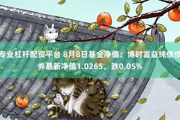 专业杠杆配资平台 8月8日基金净值：博时富益纯债债券最新净值1.0265，跌0.05%