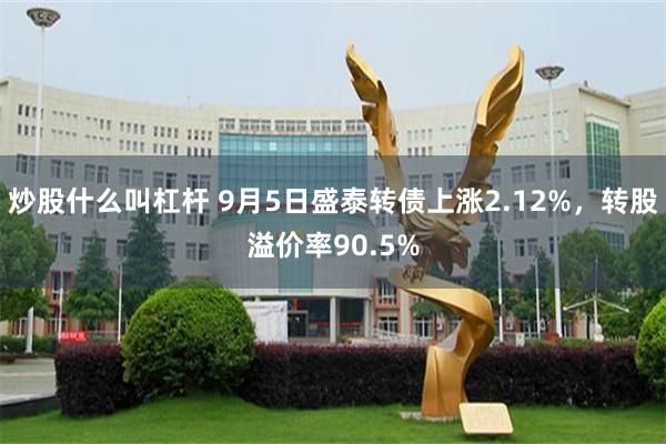 炒股什么叫杠杆 9月5日盛泰转债上涨2.12%，转股溢价率90.5%