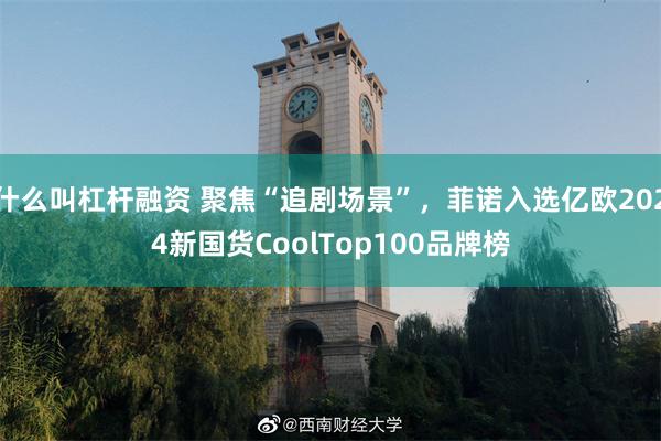 什么叫杠杆融资 聚焦“追剧场景”，菲诺入选亿欧2024新国货CoolTop100品牌榜