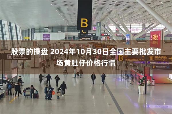 股票的操盘 2024年10月30日全国主要批发市场黄肚仔价格行情