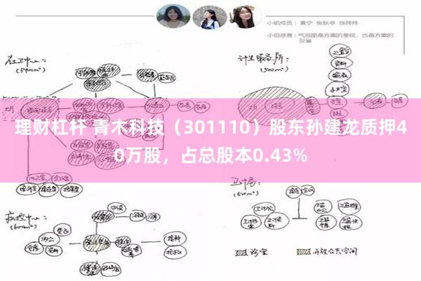 理财杠杆 青木科技（301110）股东孙建龙质押40万股，占总股本0.43%