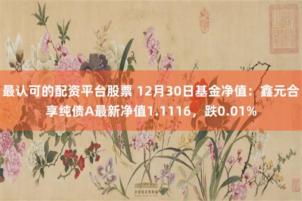 最认可的配资平台股票 12月30日基金净值：鑫元合享纯债A最新净值1.1116，跌0.01%