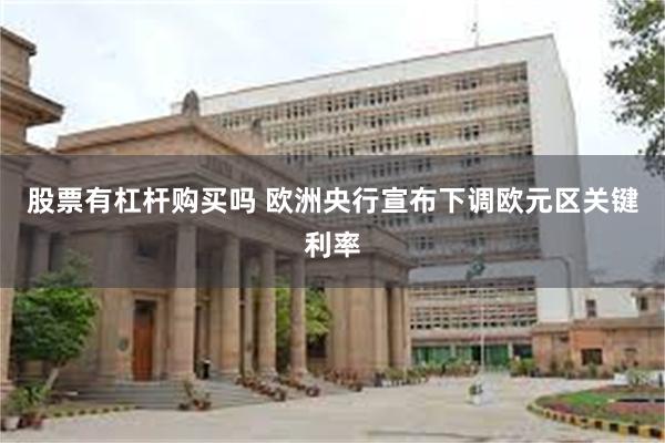 股票有杠杆购买吗 欧洲央行宣布下调欧元区关键利率